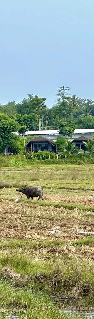 Ursprüngliches Thailand – Koh Yao Noi
